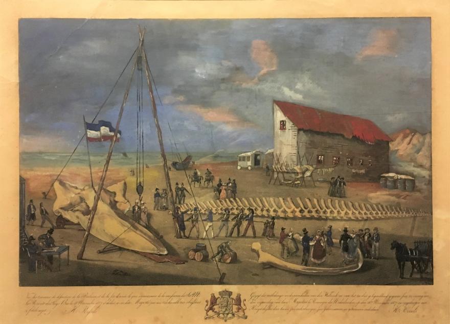 'Gezigt der ontledings-werkzaamheden van den walvisch en van het ter dier gelegengheid gegeven feest, ter viering van den verjaardag van hare Majesteit de Koninging der Nederlanden, op den 18en November 1827