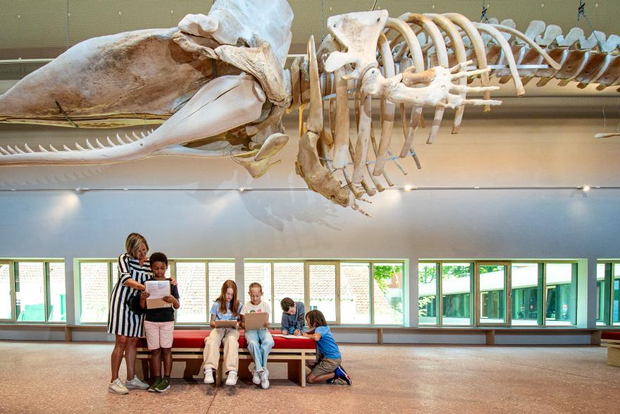 potviszaal met zicht op het vissershuisje