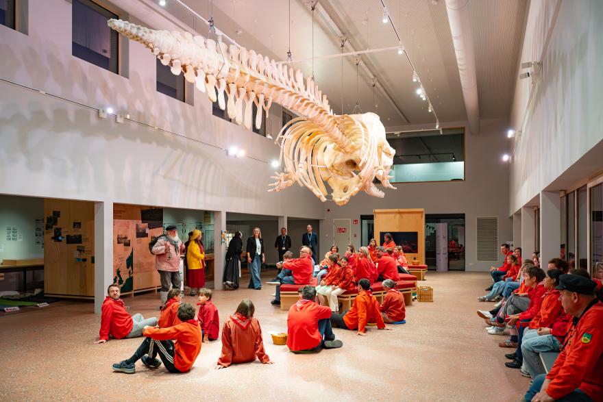 Een nacht in het museum 2026 - avondactiviteiten in het museum