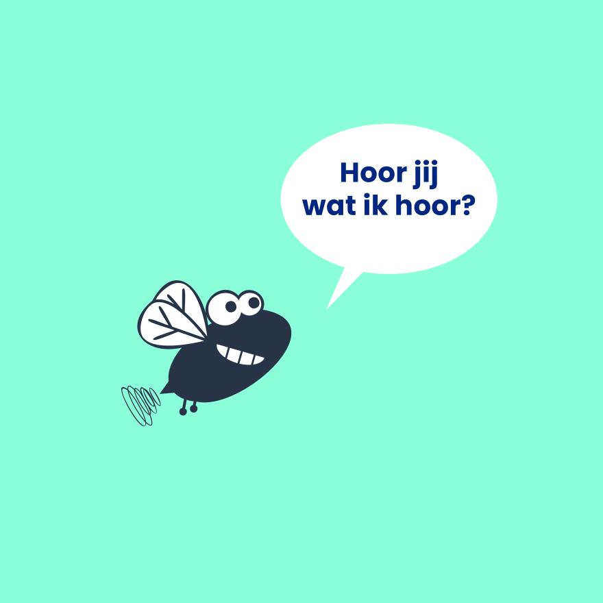Schatten van Vlieg